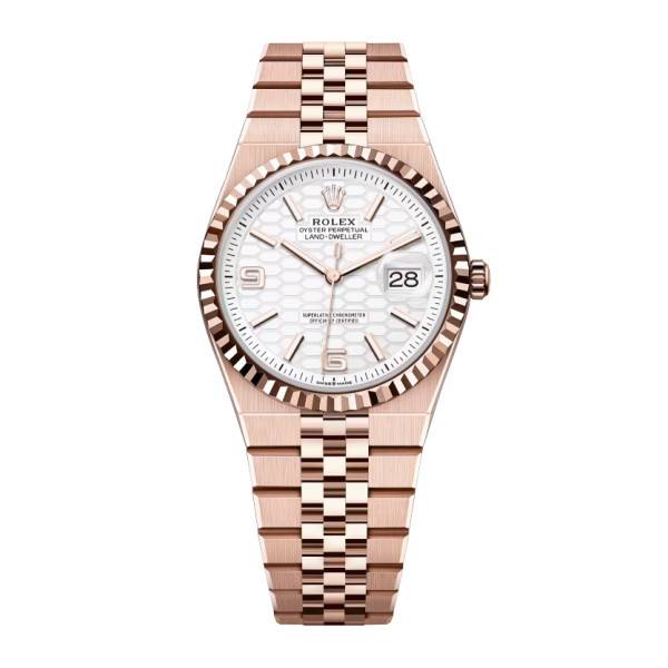 Rolex Land-Dweller 36 mm Everose gold (2025)