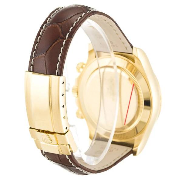 CollectRolex Daytona Gold Dial 116518